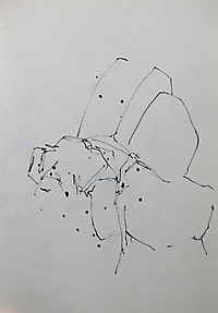 aktzeich2015_002