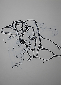 aktzeich2015_150