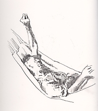 skibuch_1106_022