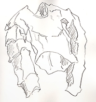 aqua_1202_006