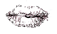 lips003