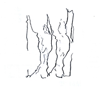 mylegs